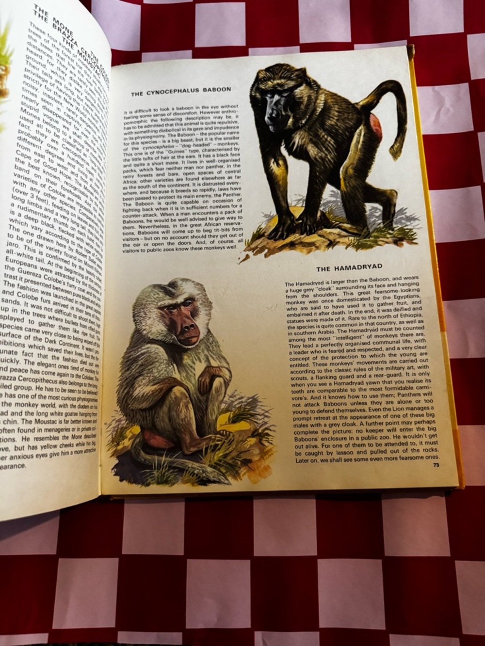 Book - Picture 2 of 3